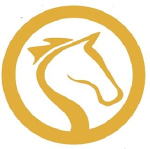 Weiterbildung Pferd an der HfWU